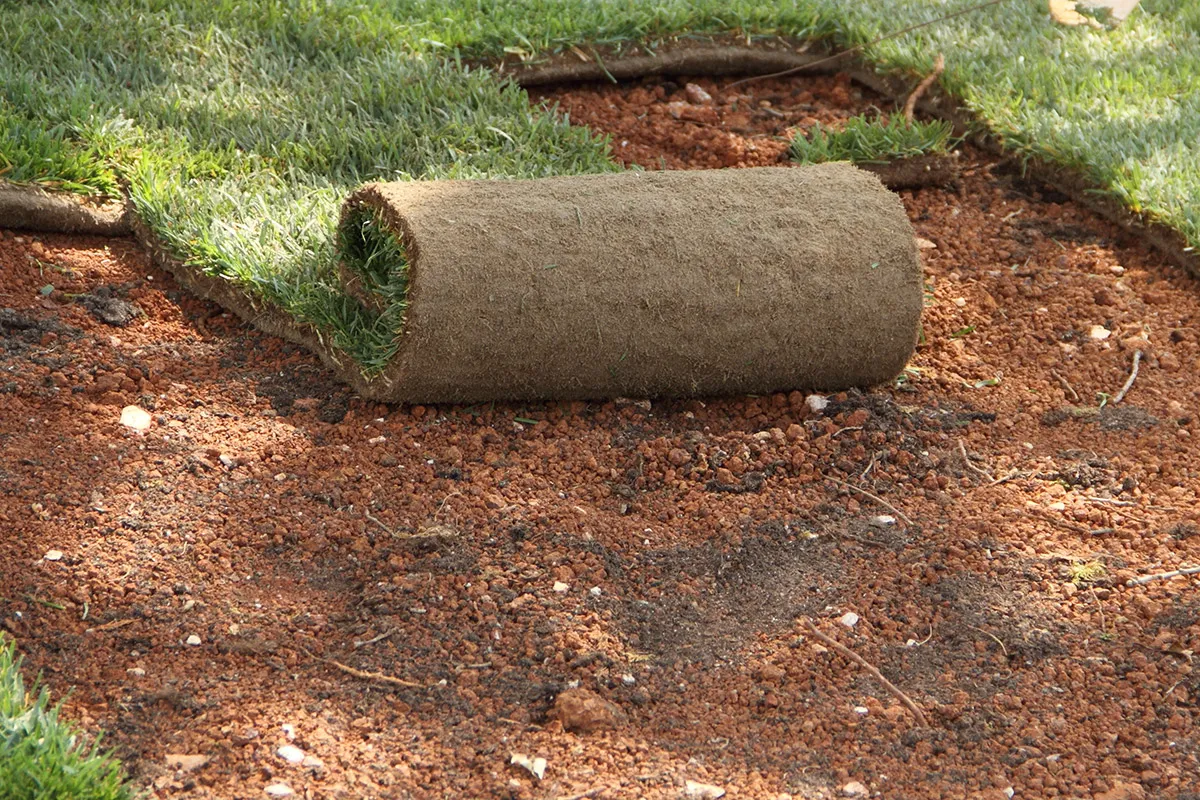 Fresh rolls of turf being laid on prepared soil at a Perth property